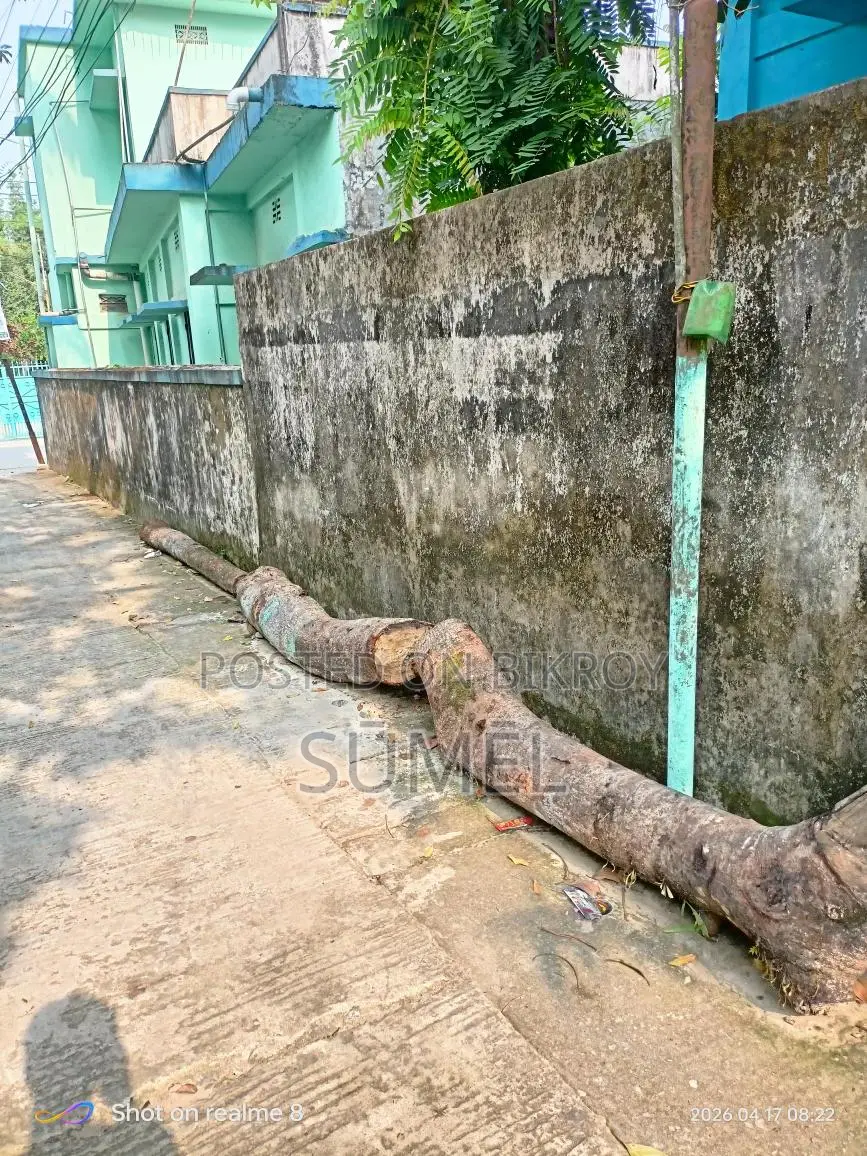 Firewood for Sale