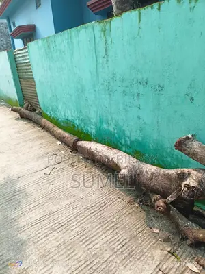 Firewood for Sale