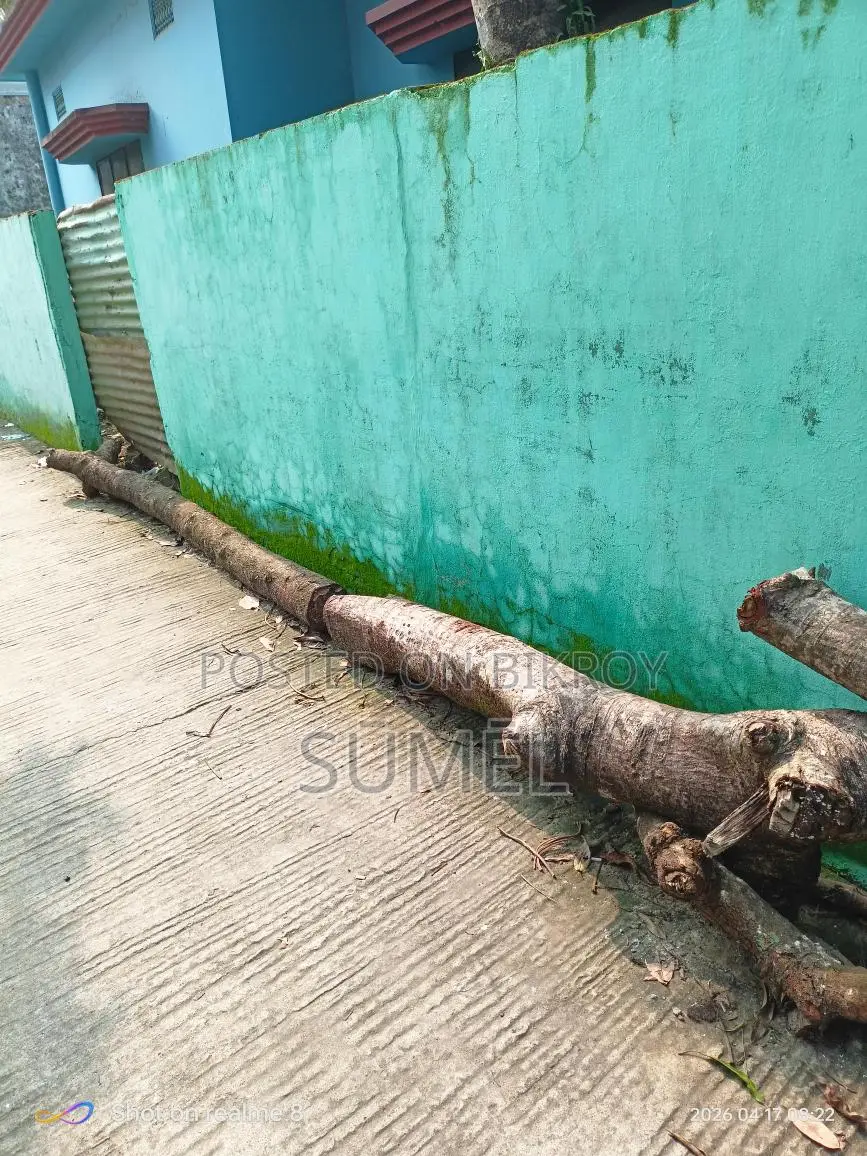 Firewood for Sale