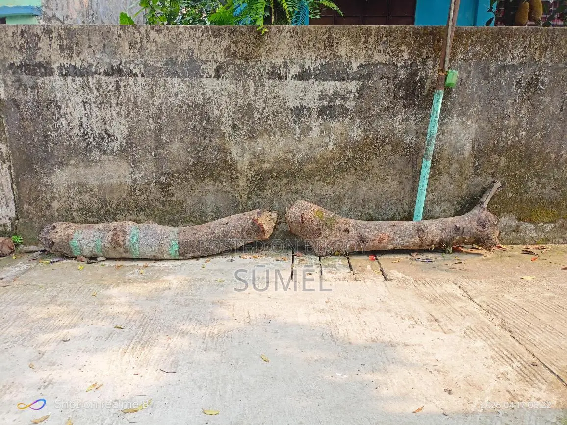 Firewood for Sale