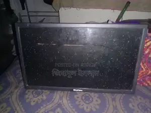 Skyview Monitor 21 inch