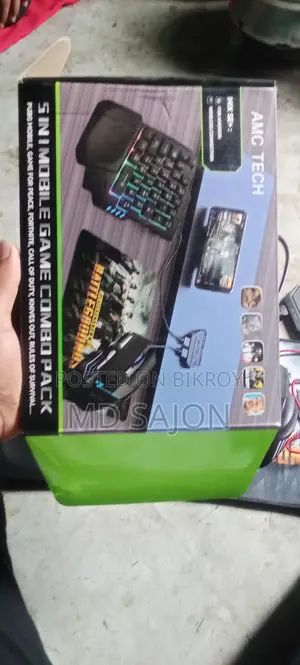 Video Game Accessories