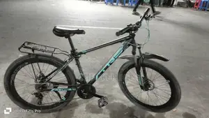 Bicycle is in brand new condition