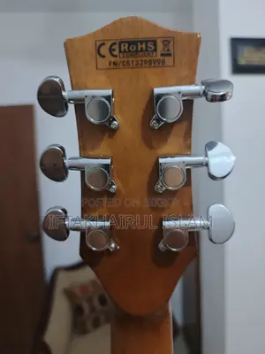 চার্ড ইএ-১২ অ্যাকোস্টিক গিটার