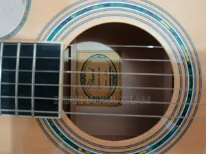 চার্ড ইএ-১২ অ্যাকোস্টিক গিটার