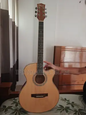 চার্ড ইএ-১২ অ্যাকোস্টিক গিটার