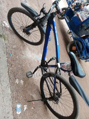 Bicycle for Sale