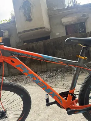 Phoenix Hurricane 2.0 Pro Mtb Cycle