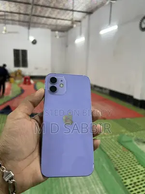 Apple iPhone 12 (Used)
