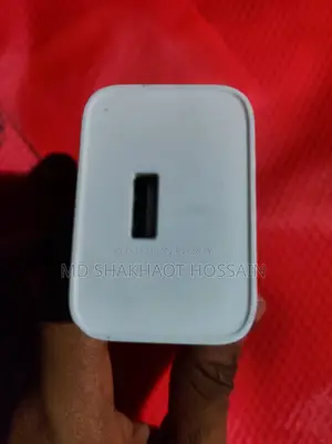 Original Xiaomi 33 Watt Charger
