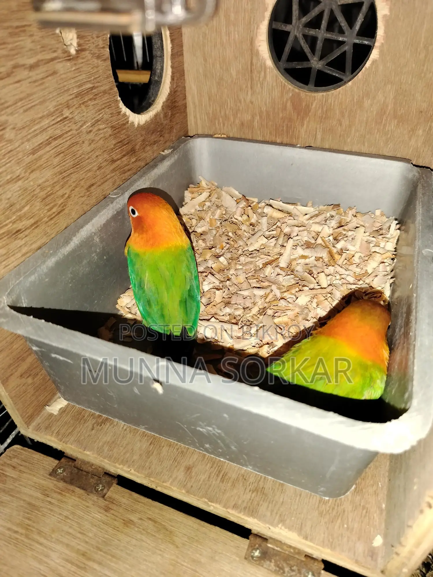 Love Brids