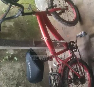 Bicycle for sale
