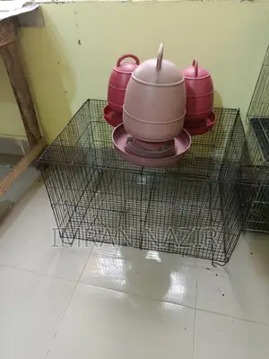 কবুতরের খাঁচা বিক্রি করা হবে।