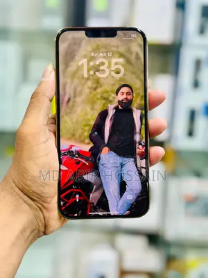 Apple iPhone 13 Pro Max (Used)