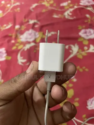 Used Apple 5W Charger