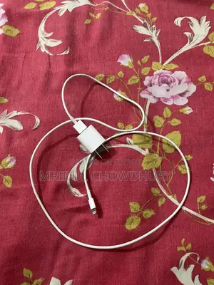 Used Apple 5W Charger