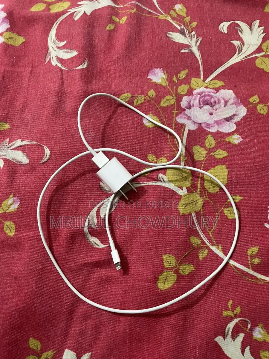 Used Apple 5W Charger