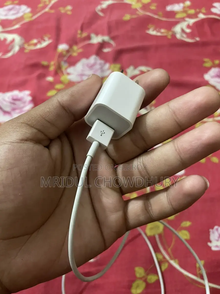 Used Apple 5W Charger