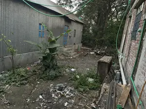 Land with house and land only options