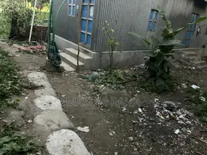 Land with house and land only options