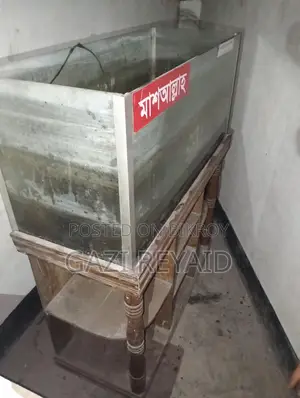 একুরিয়াম সেল