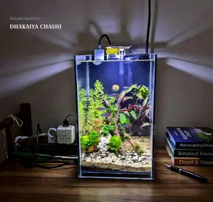 Planted Aquarium Setup