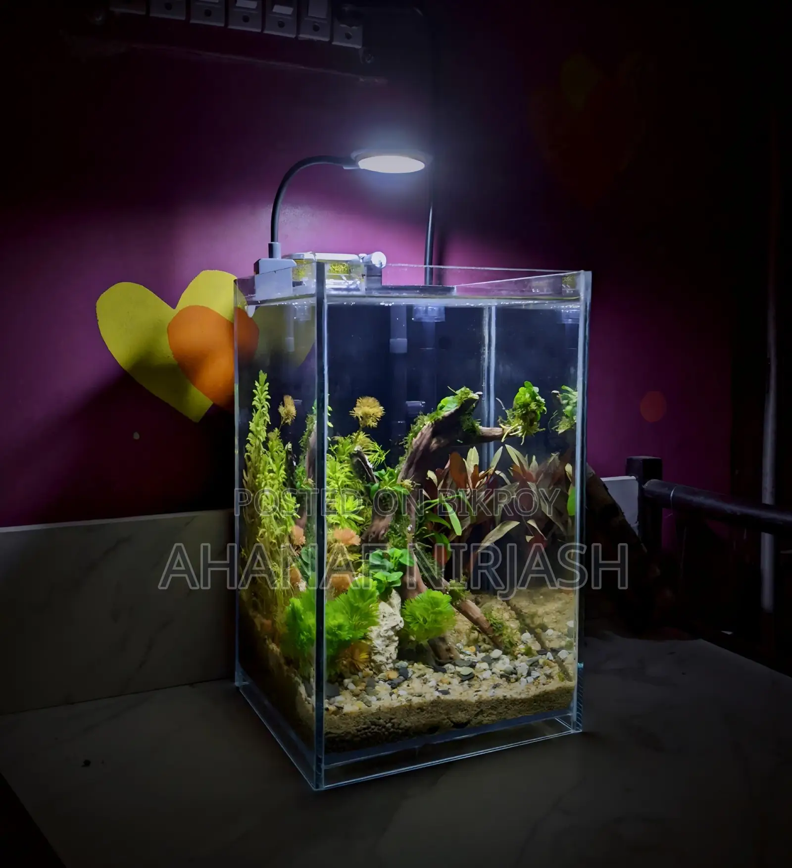 Planted Aquarium Setup