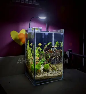 Planted Aquarium Setup
