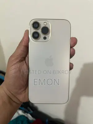 Apple iPhone 13 Pro Max (Used)