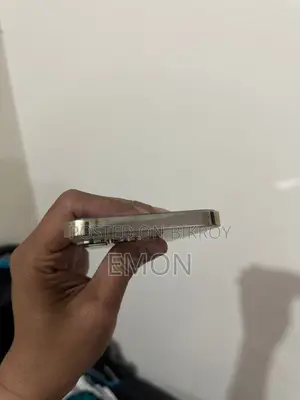 Apple iPhone 13 Pro Max (Used)