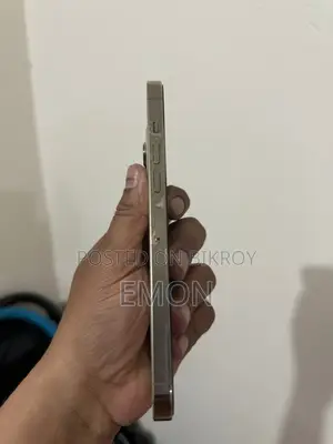 Apple iPhone 13 Pro Max (Used)