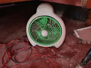 আইপিএস ফ্যান সেটাপ