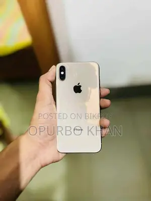 Apple iPhone XS 256 Gb (Used)