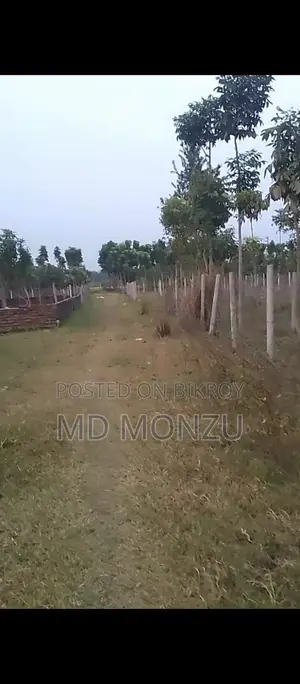 Urgent Sale: 2 Katha Land at a Low Price