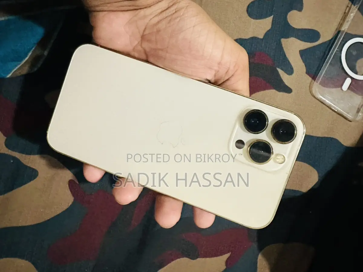 Apple iPhone 13 Pro Max (Used)