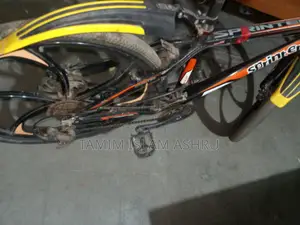 Web Brake Bicycle with 3 Front and 8 Rear Gears
