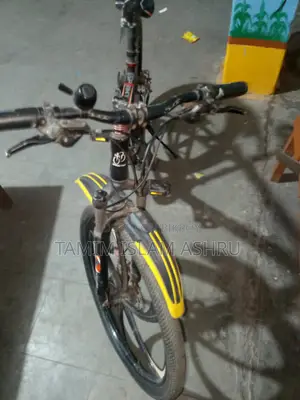 Web Brake Bicycle with 3 Front and 8 Rear Gears