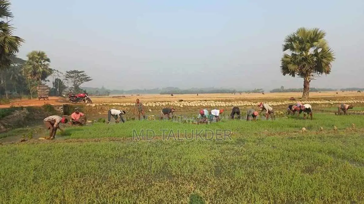 জমি বিক্রি করা হবে