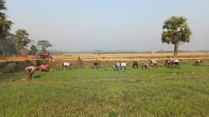 জমি বিক্রি করা হবে