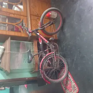 Bicycle for sale