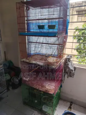 চায়না খাচা ২৪