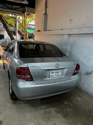 Toyota Axio 2010