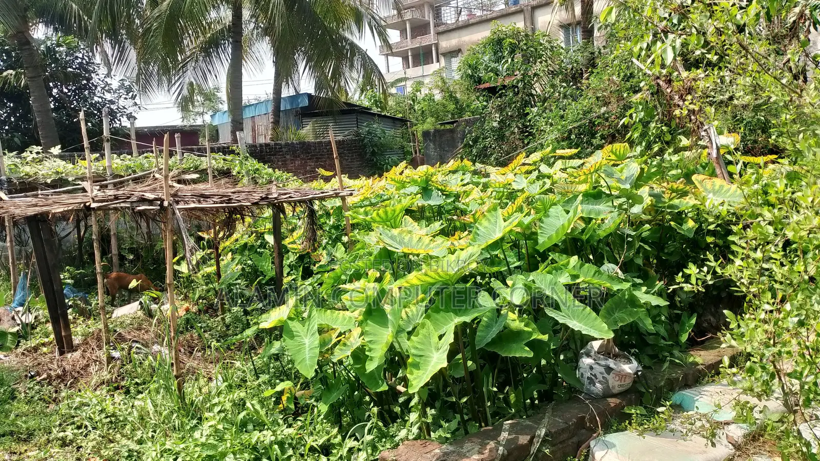 জমি বিক্রয় হবে