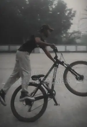 Wisco 4x Bicycle