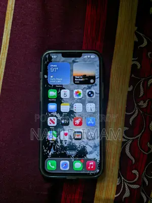Apple iPhone 13 Pro Max (Used)
