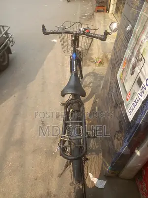 Phoenix Bicycle for sale
