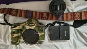Canon 6d with 50mm Stm Lens
