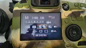 Canon 6d with 50mm Stm Lens
