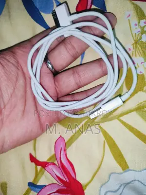 ৩০ পিন ডক ইউএসবি কেবল