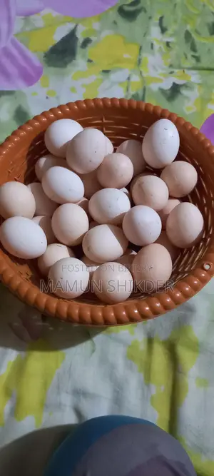 Some chicken eggs for sale
